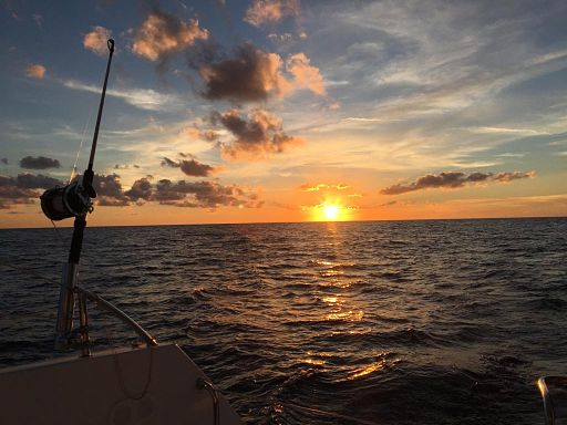 Barco navegando y pescando