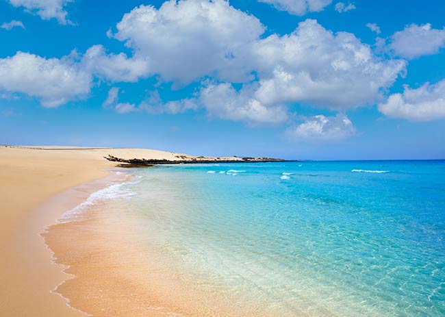 Descubre las islas Canarias a bordo de nuestro catamarán